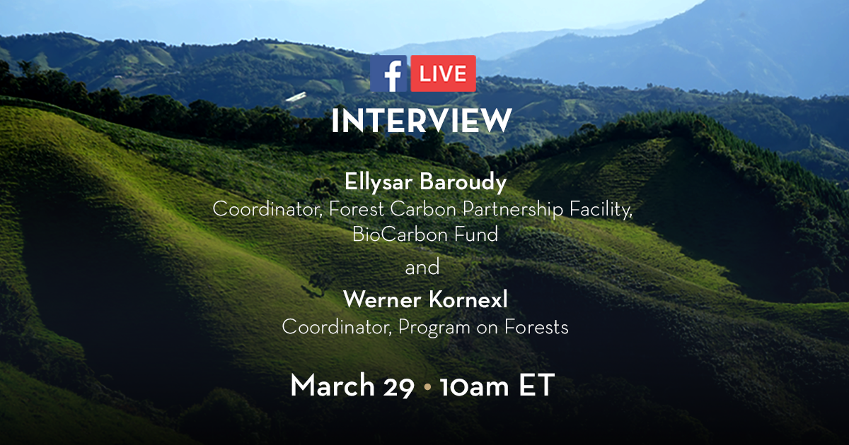 Why forests matter to you and your community: A FaceBook Live interview with PROFOR and the World Bank 